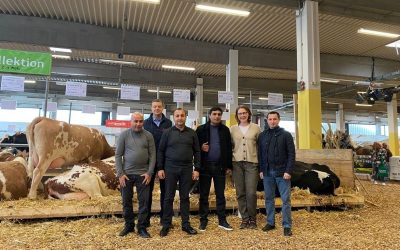 WORKING VISIT TO AUSTRIA