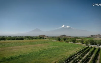 Փոքր հողակտորը փոքր հնարավորություն չէ․ ինչու է Հայաստանին անհրաժեշտ նոր կոոպերացիոն մոդել